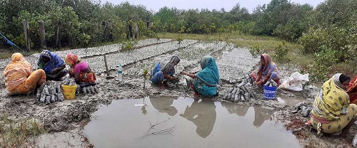 Mangrove Protection Groups, Mangrove Sensitive Communities