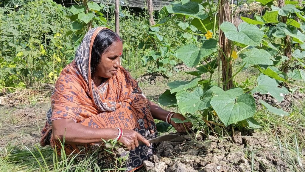 From Struggle to Success: Durga Rani Hazra’s Agricultural Journey